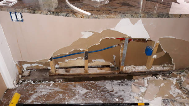 Best Local water damage restoration  in Hidden Meadows, CA