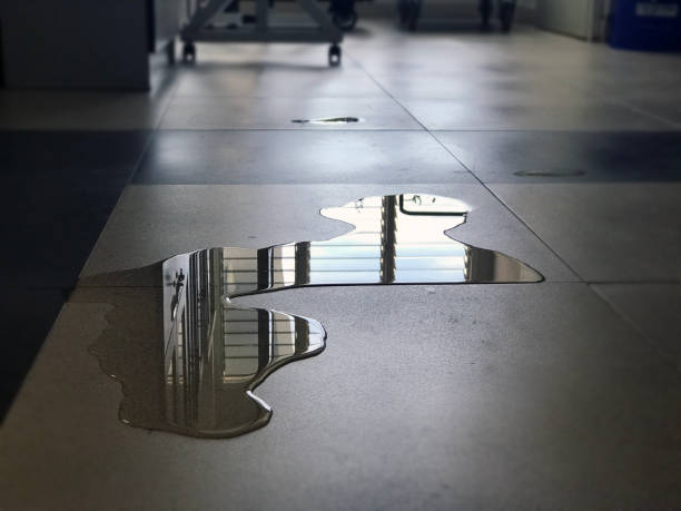 Best Carpet water damage restoration  in Hidden Meadows, CA