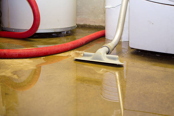 Best Mold removal after water damage  in Hidden Meadows, CA